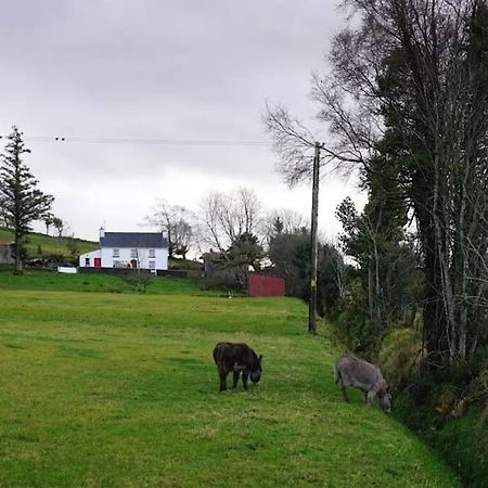 Meenadreen Cottage 도니골 외부 사진