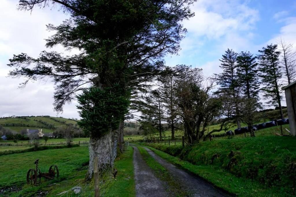 Meenadreen Cottage 도니골 외부 사진